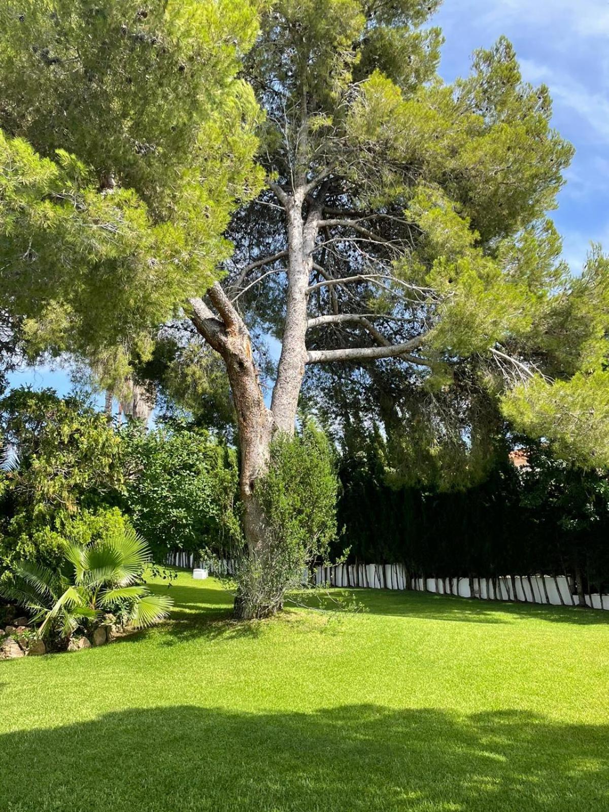 Casa Mediterranea Con Gran Jardin Y Piscina A 500 M De La Playa Roda de Bará Εξωτερικό φωτογραφία